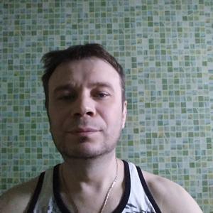 Николай Болдырев, 49 лет, Сокол