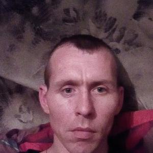 Андрей, 39 лет, Кировск