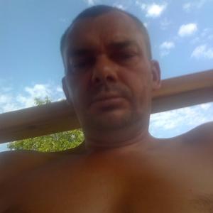 Анатолий, 42 года, Волгоград