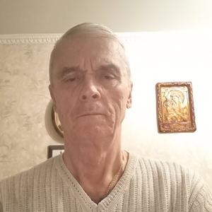 Вадим, 75 лет, Белгород