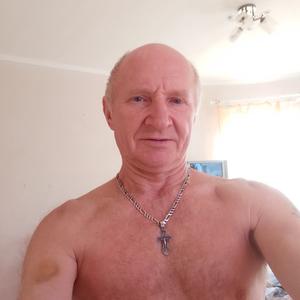 Владимир Редкозуб, 64 года, Анапа