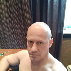 Михаил, 41 год, Калуга