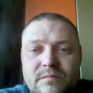 Сергей Мельников, 45 лет, Брянск