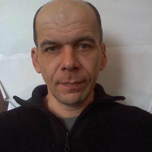 Сергей, 53 года, Новокасторное