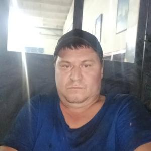 Алексей Шевченко, 37 лет, Самарканд
