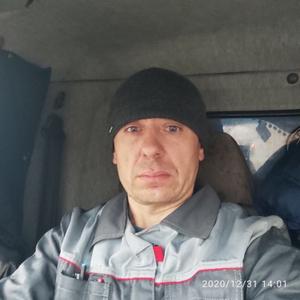 Максим, 42 года, Владимир