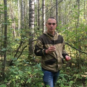 Парни в Вологде: Николай, 28 - ищет девушку из Вологды