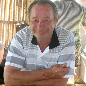 Анатолий Агапов, 74 года, Тюмень