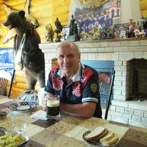 Парни в Узловая: Михаил Хисамутдинов, 75 - ищет девушку из Узловая