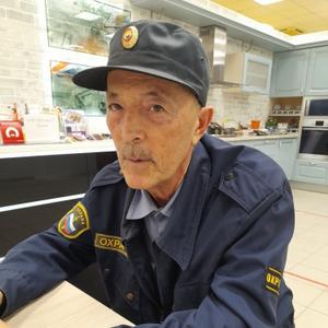 Ринат, 73 года, Уфа