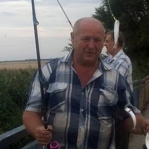 Александр Лапин, 62 года, Волгодонск