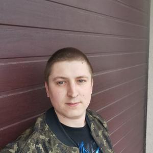 Сергей, 32 года, Щелково