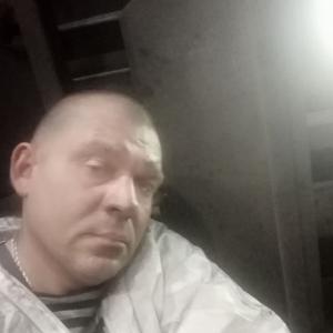 Михаил, 41 год, Санкт-Петербург