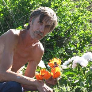 Сергей, 68 лет, Пенза