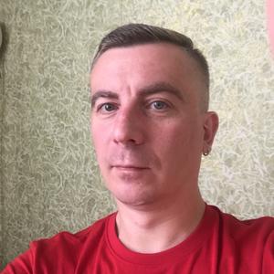 Сергей, 47 лет, Новомосковск