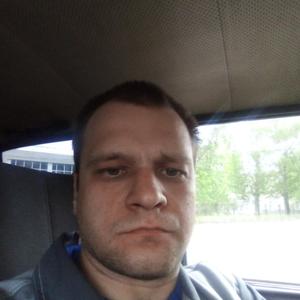 Алексей Салтанов, 36 лет, Боринское