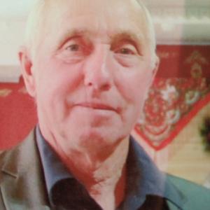 Александр, 73 года, Оренбург