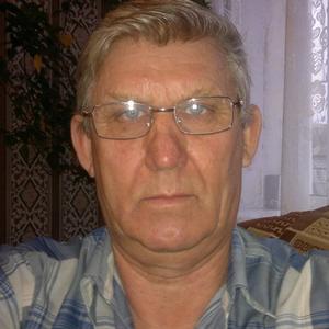 Геннадий, 75 лет, Волжский