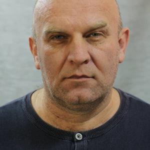 Алексей Смирнов, 54 года, Сызрань