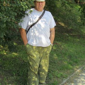 Валентин, 66 лет, Хабаровск