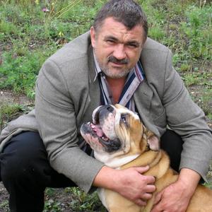 Александр Денисов, 64 года, Вологда