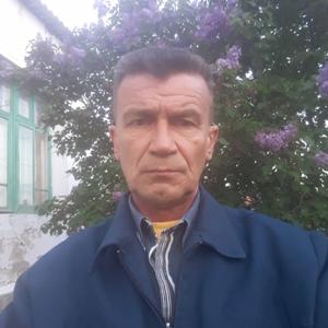 Рафаэль Якупов, 61 год, Фролово