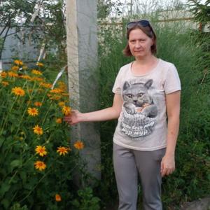 Елена Анляйс, 42 года, Великий Новгород
