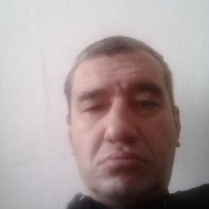 Дима, 49 лет, Старый Оскол