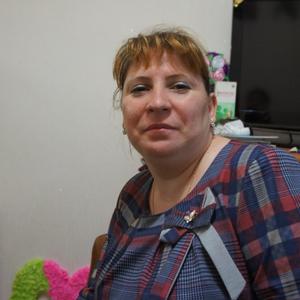 Ольга, 41 год, Кошки