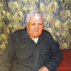 Иван, 82 года, Пермь
