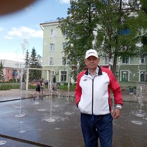 Парни в Екатеринбурге: Владимир, 70 - ищет девушку из Екатеринбурга