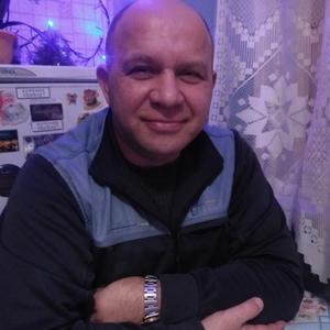 Дмитрий, 49 лет, Каменногорск