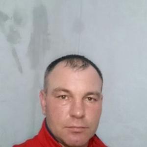 Николай, 50 лет, Долинск