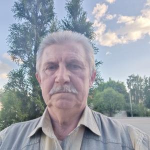 Юрий Степанов, 67 лет, Тула