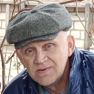 Виктор, 67 лет, Нижний Новгород