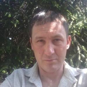 Александр Устинович, 47 лет, Лабинск