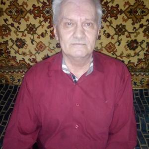 Владимир Галендр, 67 лет, Челябинск