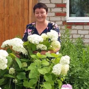Елена Ефимова, 63 года, Калуга
