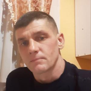 Николай, 43 года, Нижний Тагил