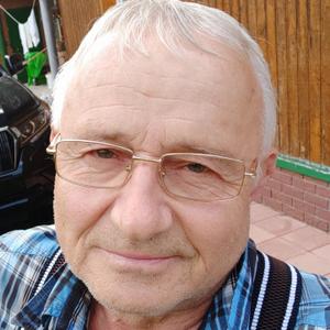 Виктор, 72 года, Москва