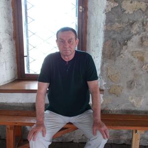 Геннадий, 68 лет, Магнитогорск