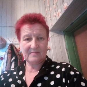 Людмила, 64 года, Новосибирск