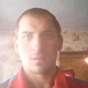Vladimir, 34 года, Бийск