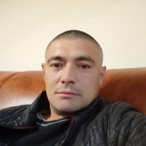 Адель, 40 лет, Васильево
