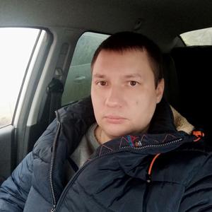 Сергёга, 39 лет, Тамбов