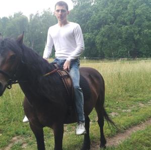 Сергей, 33 года, Кинешма