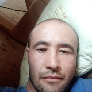 Миродил, 36 лет, Брянск