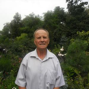 Владимир, 67 лет, Ульяновск
