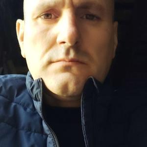 Алексей, 44 года, Выкса
