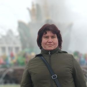 Вера, 42 года, Москва